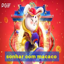 sonhar com macaco